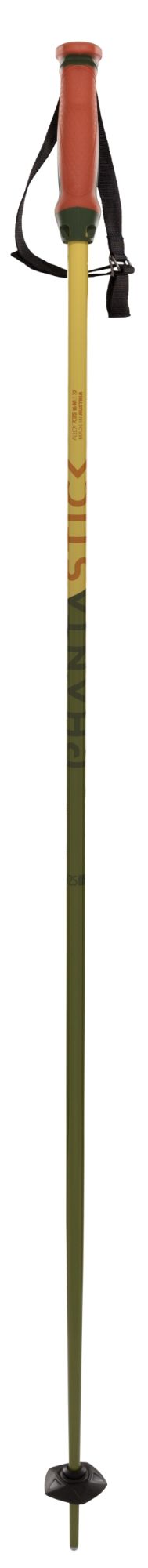 Völkl Phantastick 16mm Pole green 1